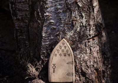 Fairy Doors into the Fairy Kingdom by Martin Symes Woodworker