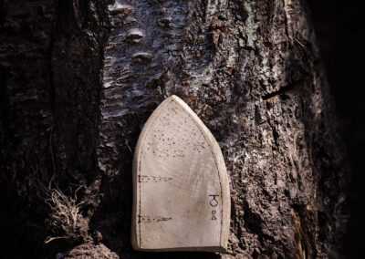Fairy Doors into the Fairy Kingdom by Martin Symes Woodworker